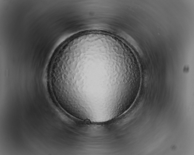 X0000103501024200809121733