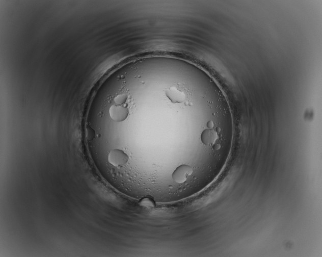 X0000103501025200809121733