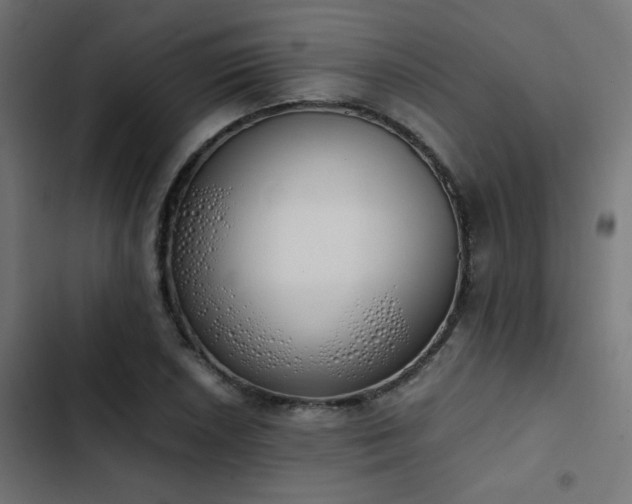 X0000103501026200809121733