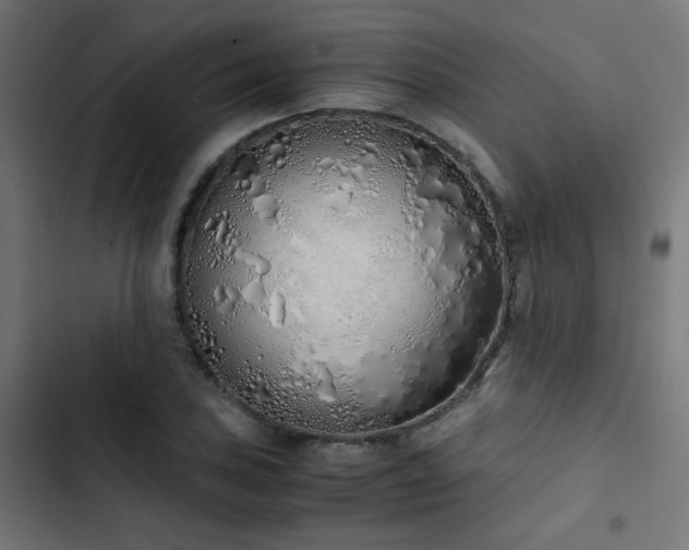 X0000103501027200809121733