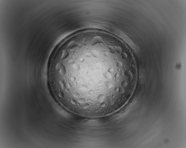 X0000103501028200809121733