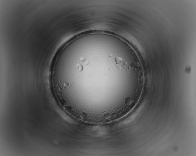 X0000103501029200809121733