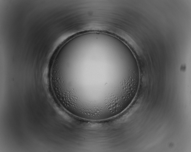 X0000103501030200809121733