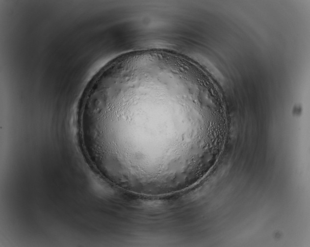 X0000103501031200809121733