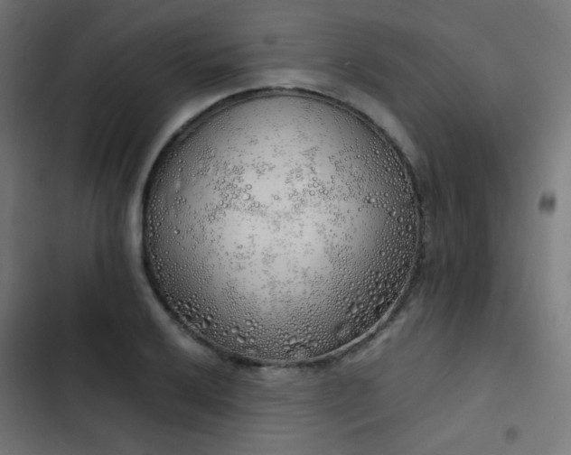 X0000103501032200809121733