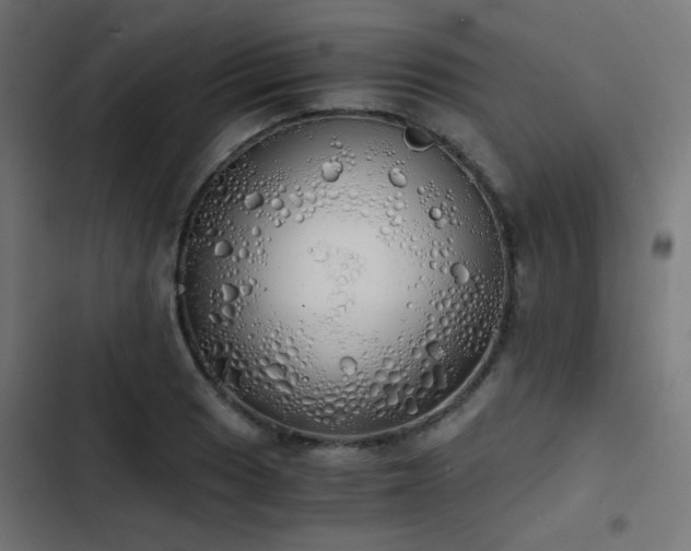 X0000103501033200809121734