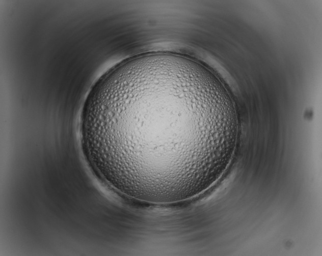 X0000103501034200809121734