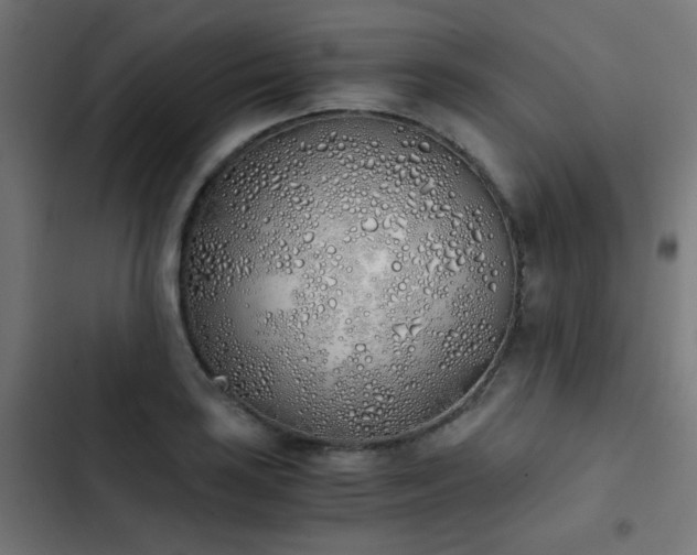 X0000103501035200809121734