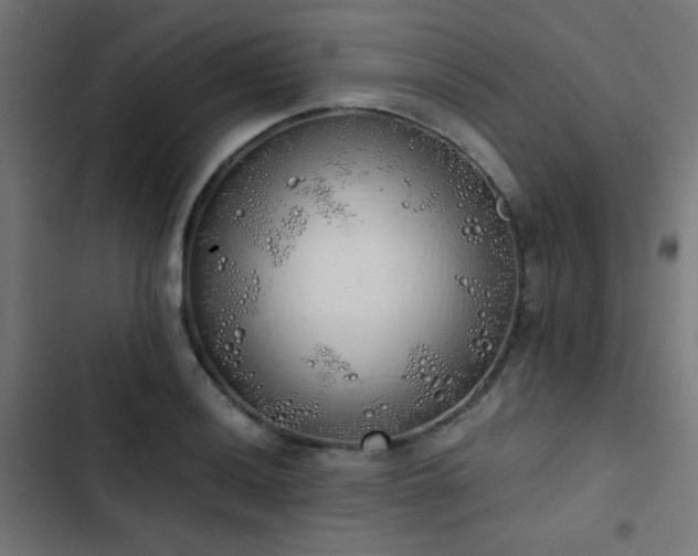 X0000103501036200809121734