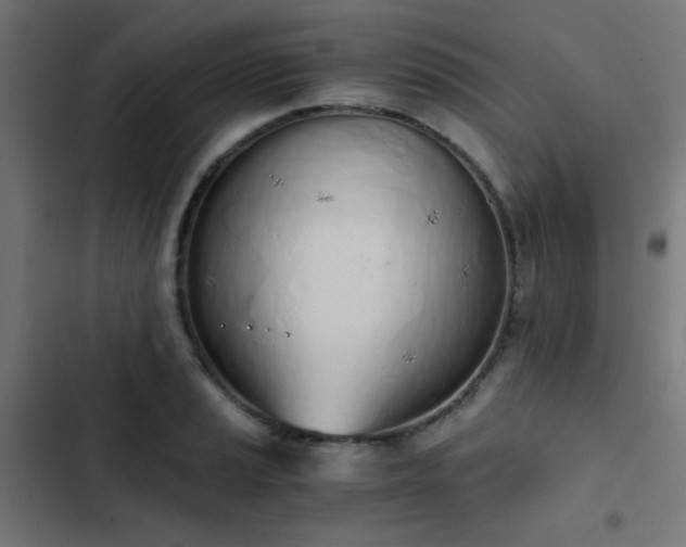 X0000103501037200809121734