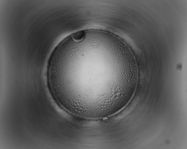 X0000103501038200809121734