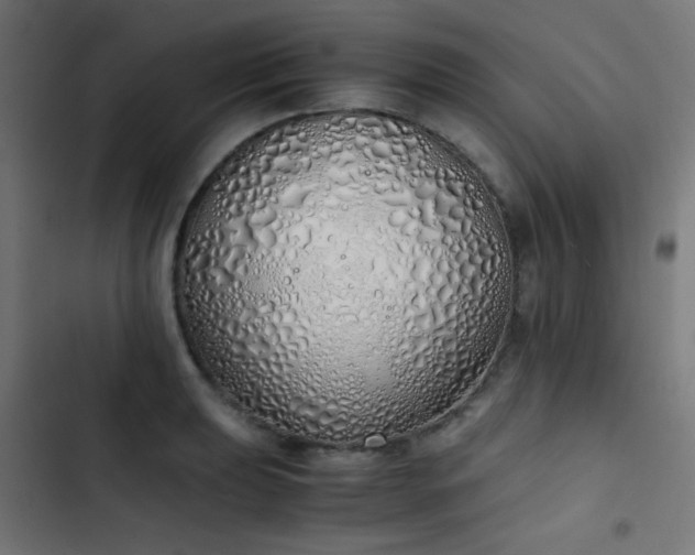 X0000103501039200809121734