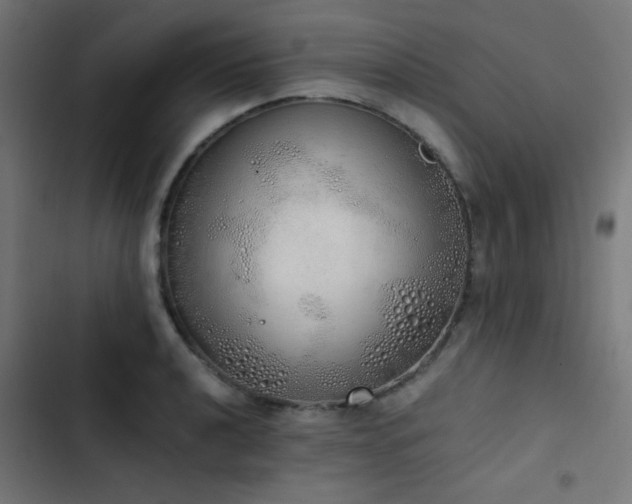 X0000103501040200809121734