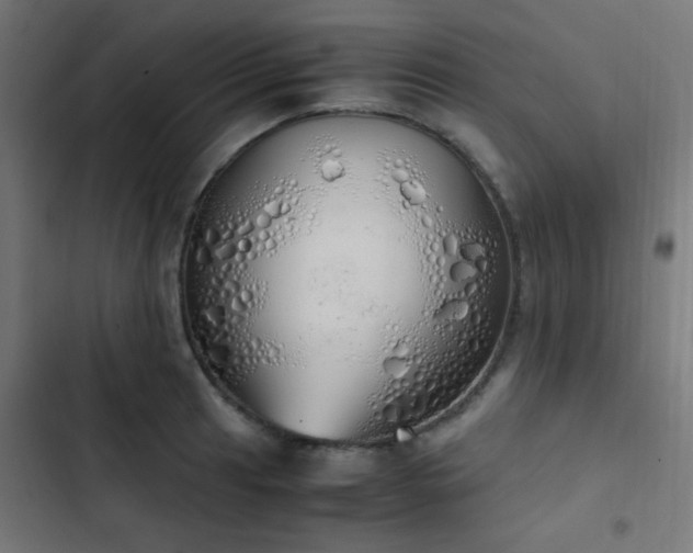 X0000103501041200809121734