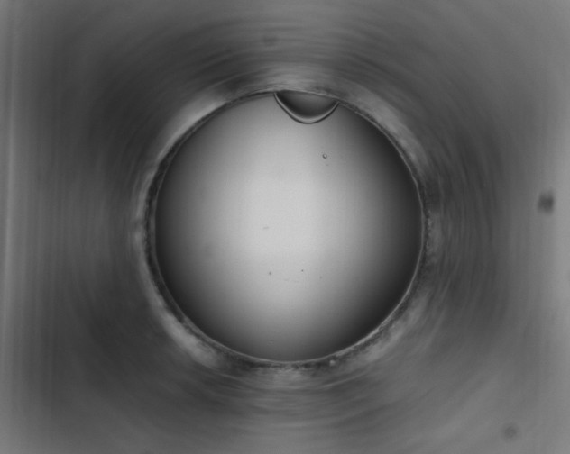 X0000103501042200809121734