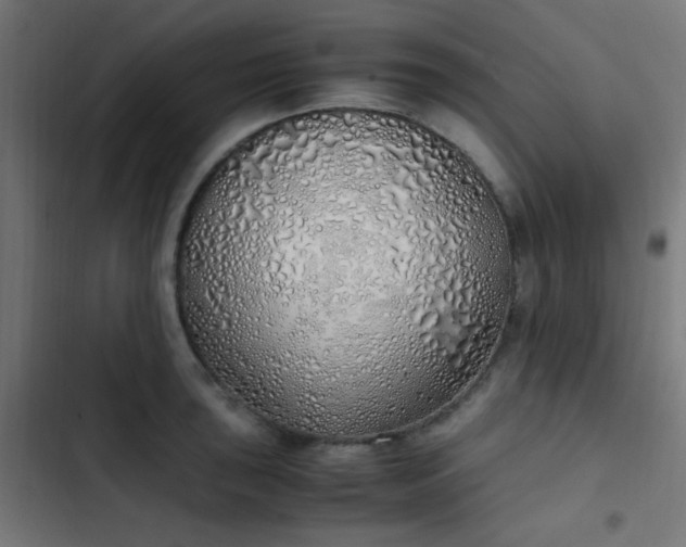 X0000103501043200809121734