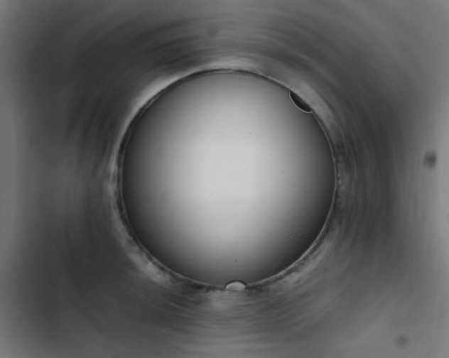 X0000103501044200809121734