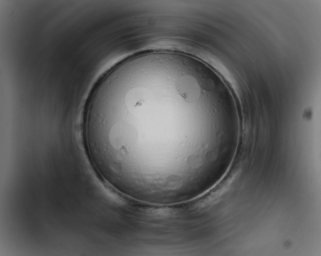 X0000103501045200809121734