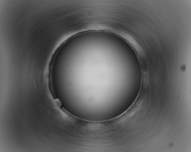 X0000103501046200809121734