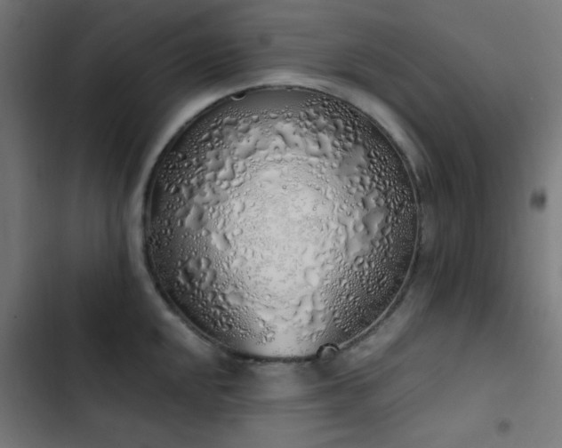 X0000103501048200809121734