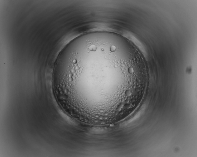 X0000103501049200809121734