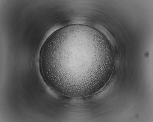 X0000103501050200809121734