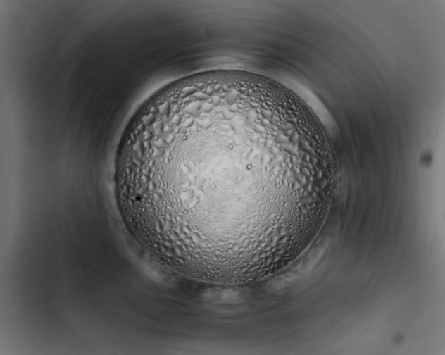 X0000103501051200809121734