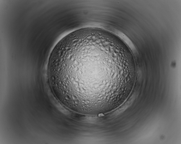 X0000103501052200809121734