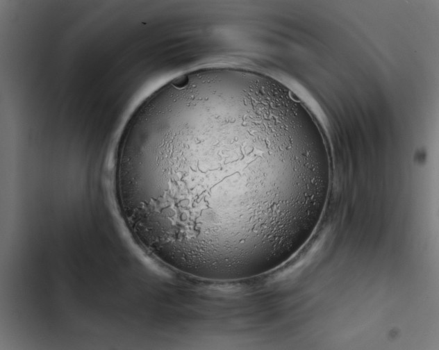 X0000103501053200809121734