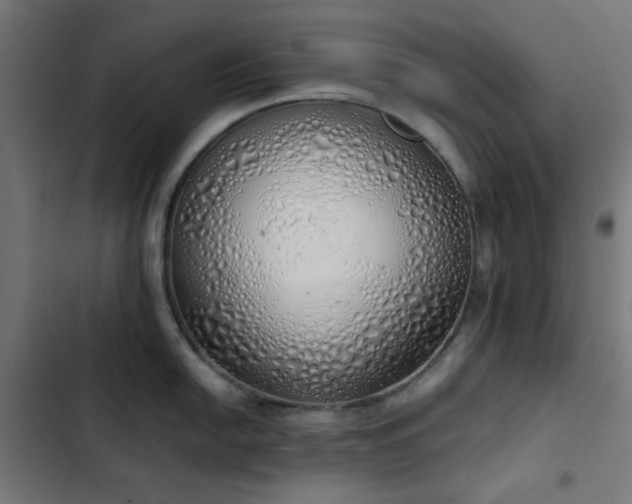 X0000103501054200809121734