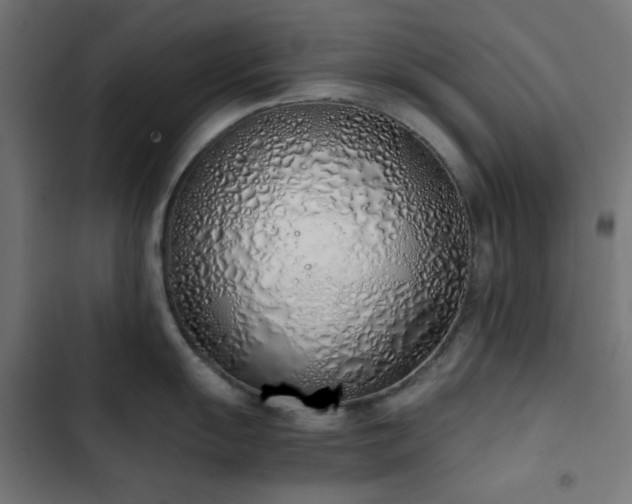 X0000103501055200809121734