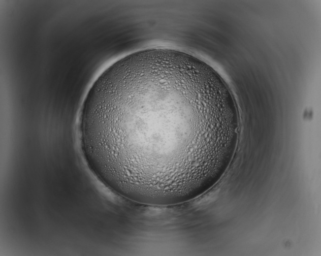 X0000103501056200809121734