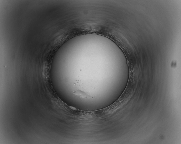 X0000103501058200809121733