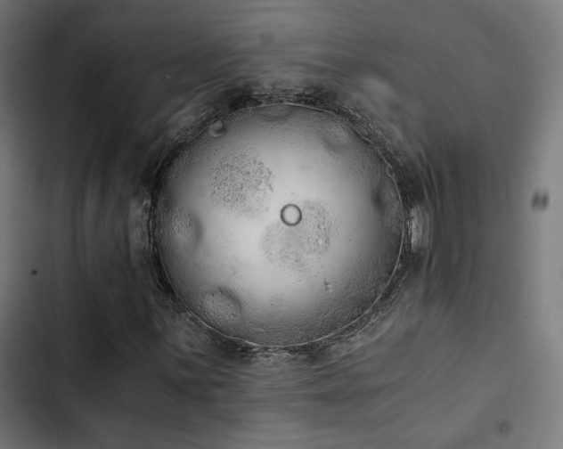 X0000103501059200809121733