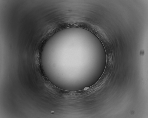 X0000103501060200809121733