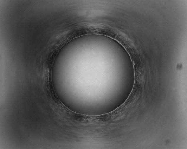 X0000103501061200809121733