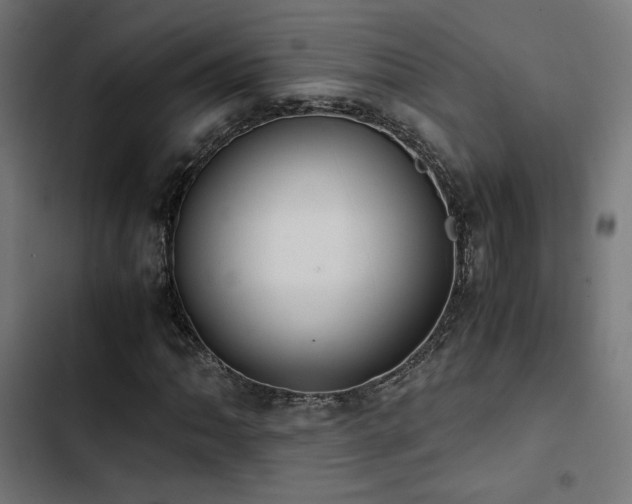 X0000103501062200809121733