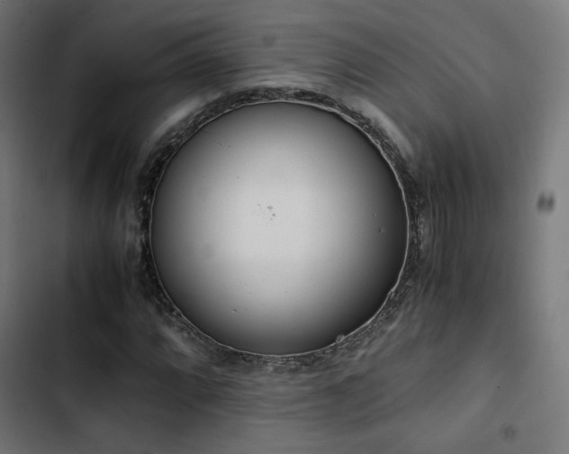 X0000103501064200809121733