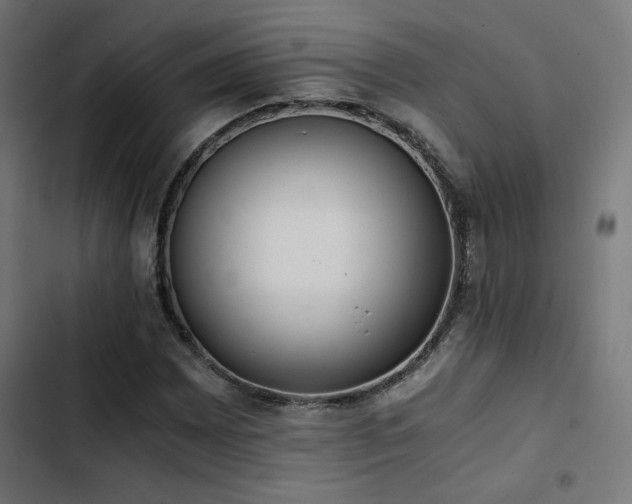 X0000103501065200809121733