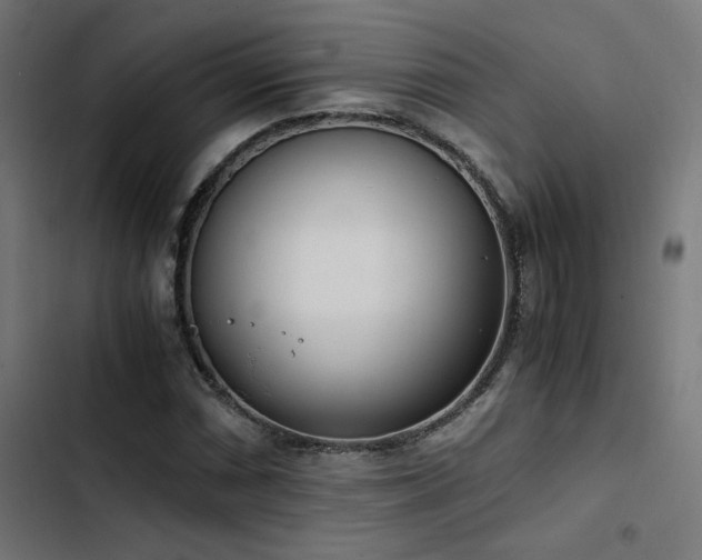 X0000103501066200809121733