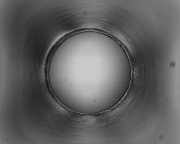 X0000103501068200809121733