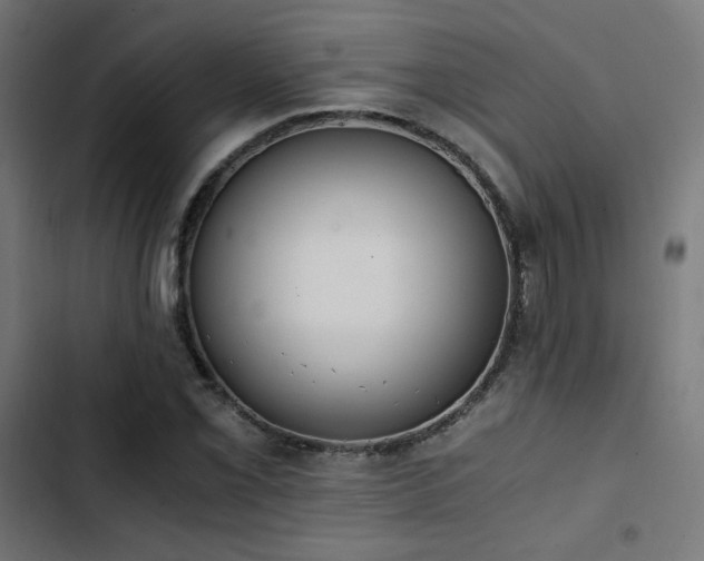 X0000103501069200809121733