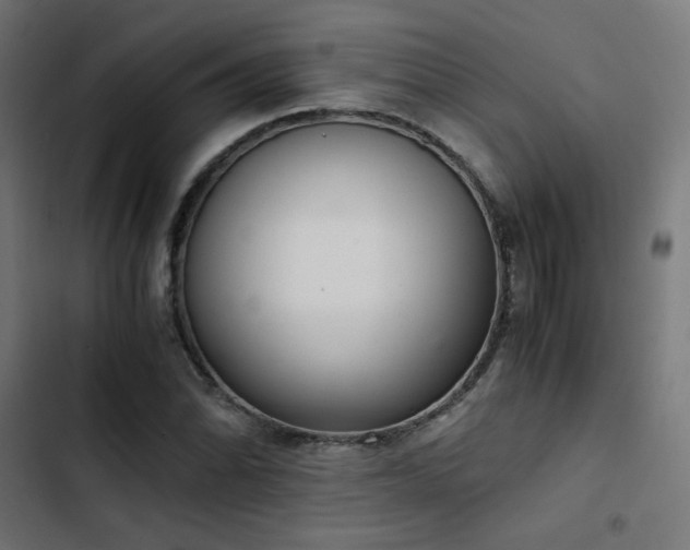 X0000103501070200809121733