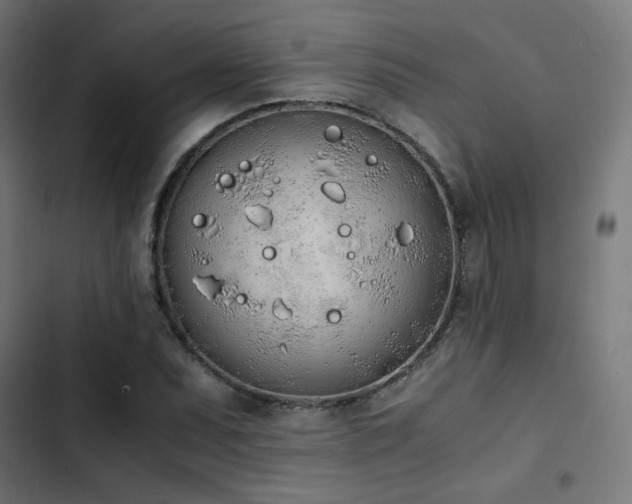 X0000103501071200809121733