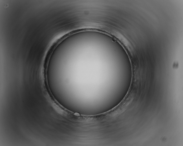 X0000103501072200809121733