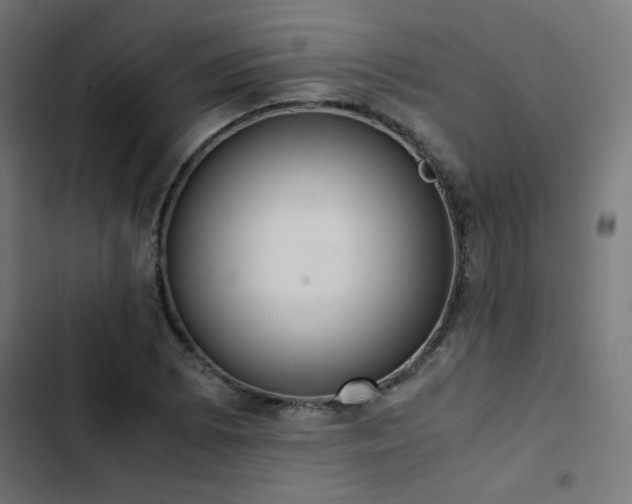 X0000103501073200809121733