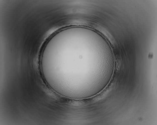 X0000103501074200809121733