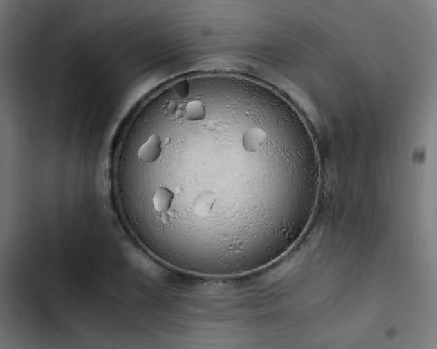 X0000103501075200809121733