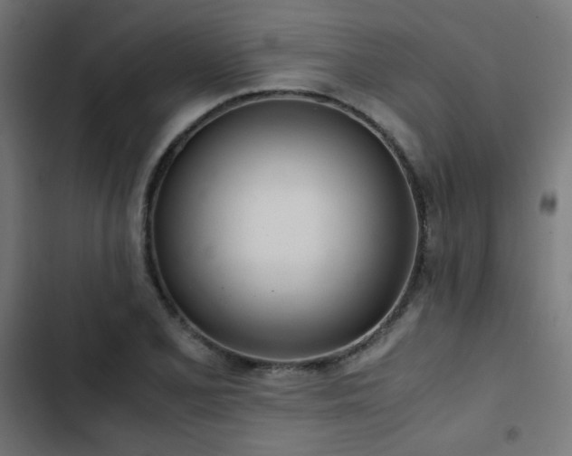 X0000103501077200809121733