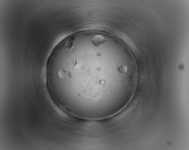 X0000103501079200809121733